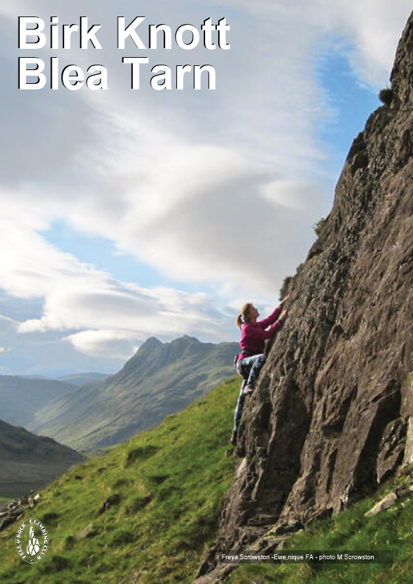 Birk Knott, Blea Tarn