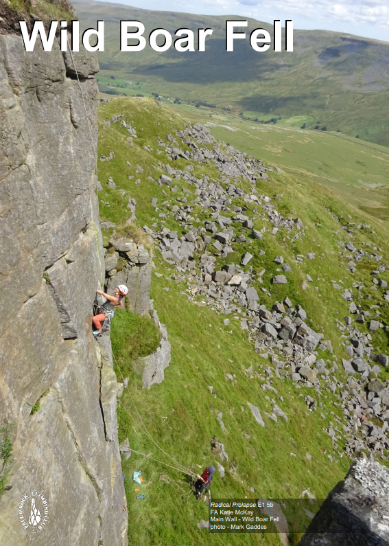 Wild Boar Fell